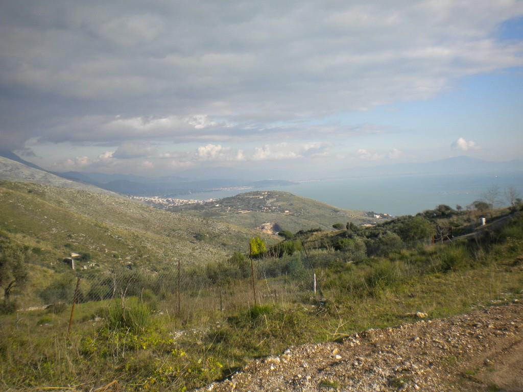 immagine annuncio 4 di 6