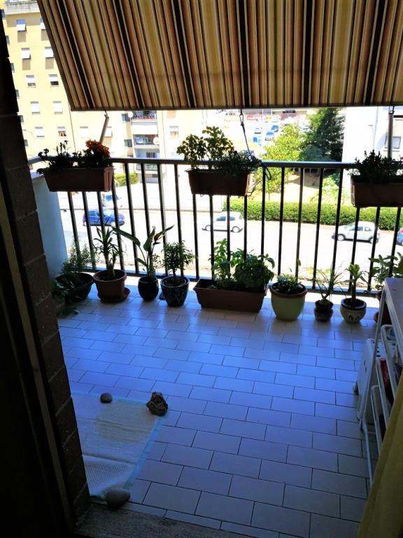 immagine annuncio 5 di 6