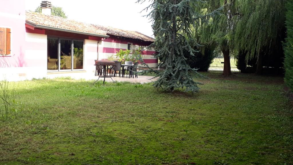 immagine annuncio 3 di 7