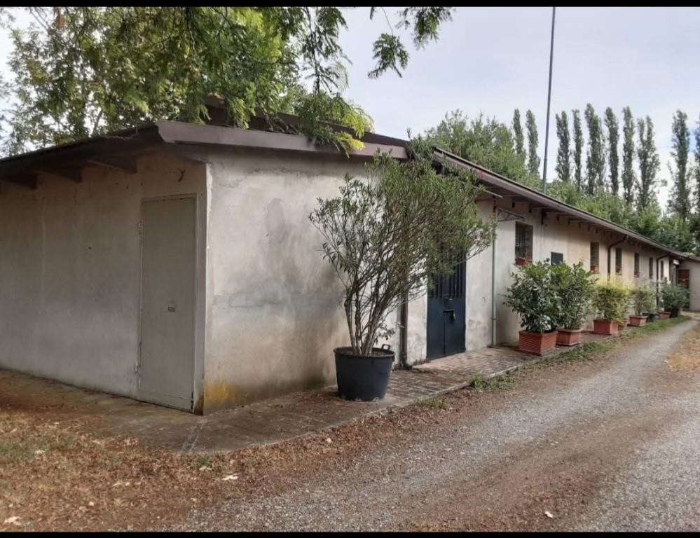 immagine annuncio 3 di 7