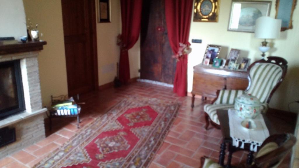 immagine annuncio 5 di 7