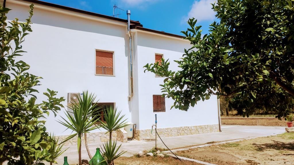 immagine annuncio 5 di 6