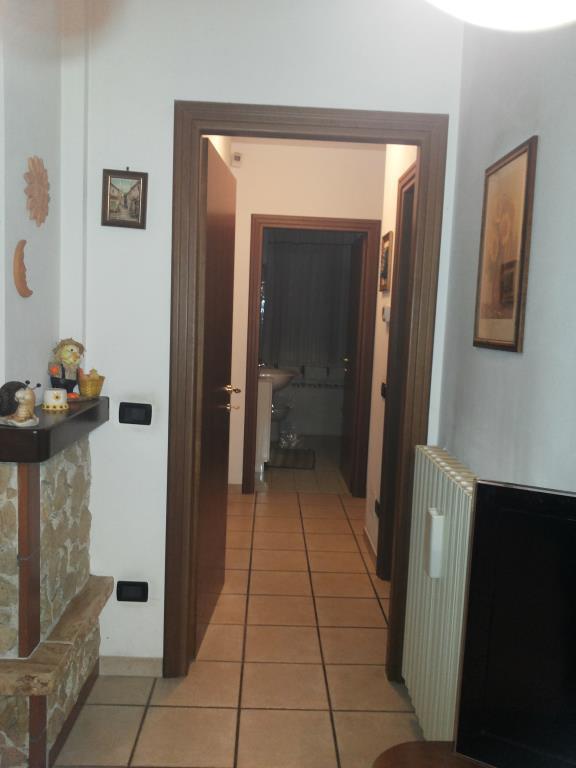 immagine annuncio 3 di 7