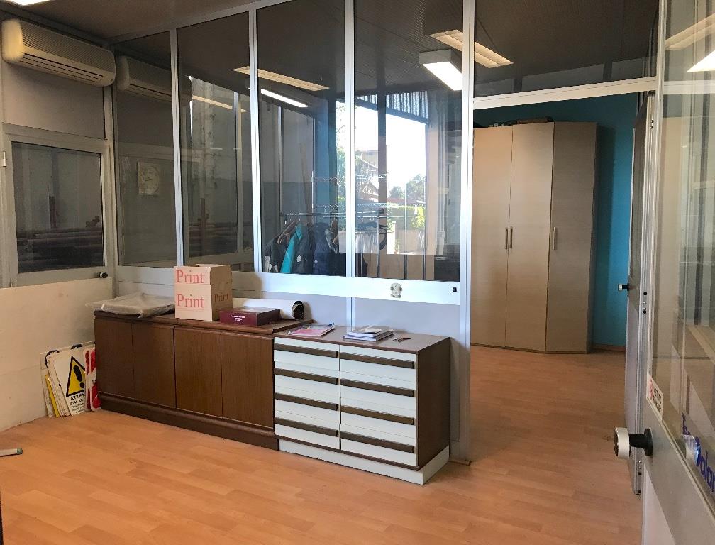 immagine annuncio 3 di 6