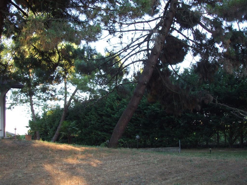 immagine annuncio 5 di 7
