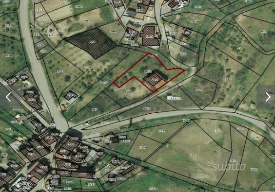 immagine annuncio 1 di 4