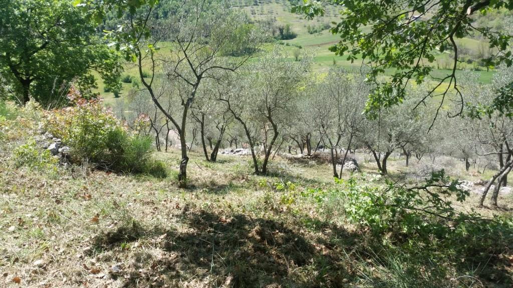 immagine annuncio 6 di 7