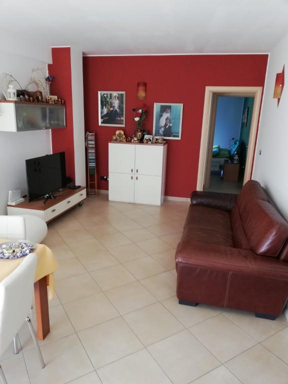 immagine annuncio 5 di 7