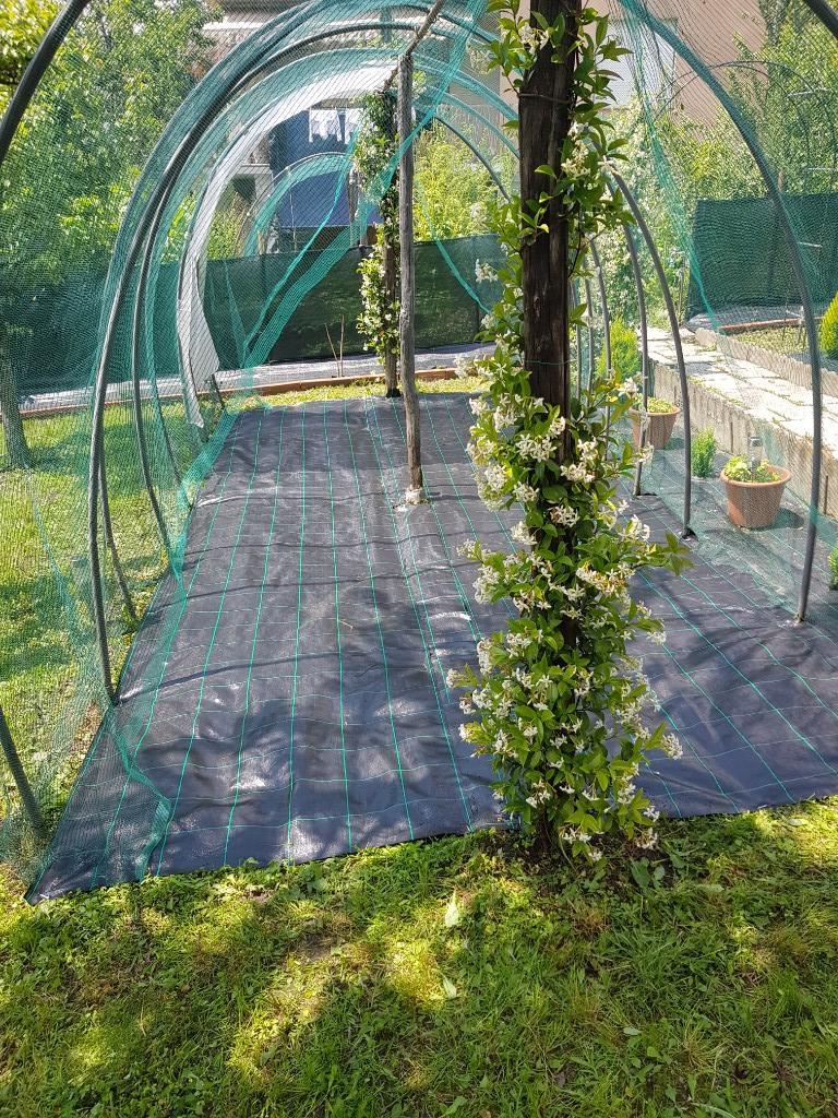 immagine annuncio 6 di 7