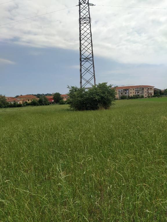 immagine annuncio 1 di 6