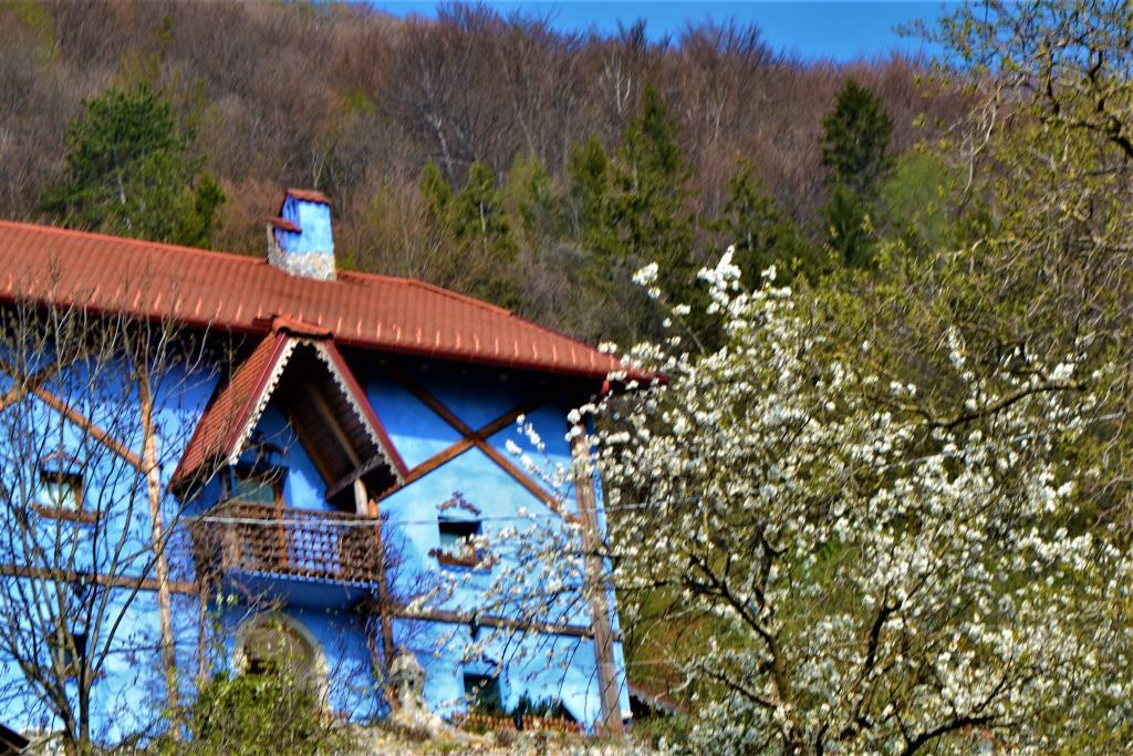 immagine annuncio 6 di 7