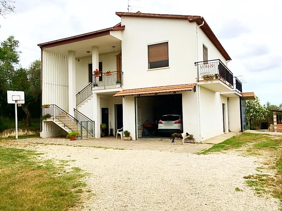 immagine annuncio 1 di 7