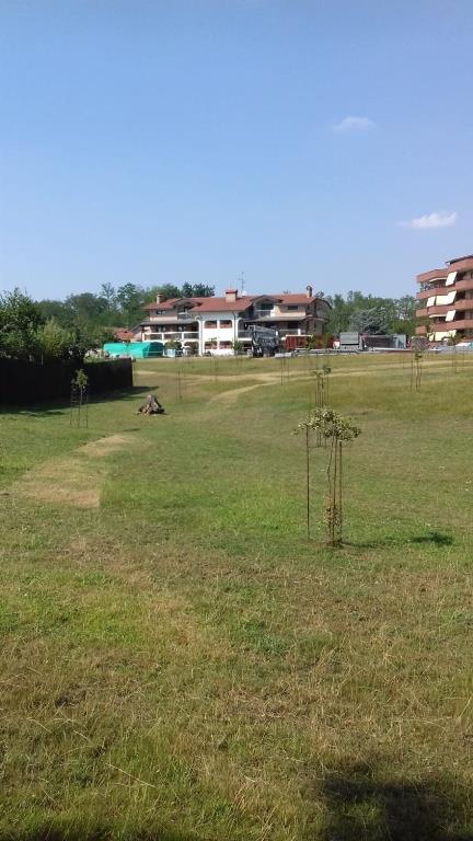 immagine annuncio 2 di 7