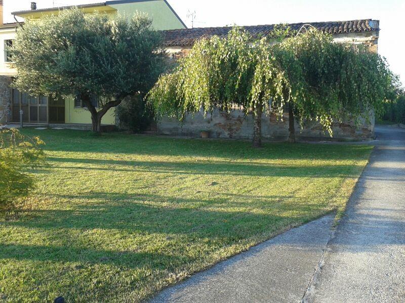immagine annuncio 6 di 7