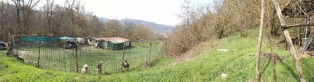 immagine annuncio 5 di 7