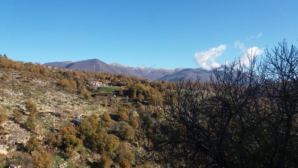 immagine annuncio 2 di 6