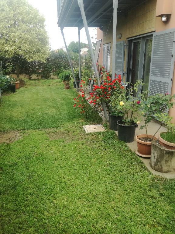 immagine annuncio 1 di 2