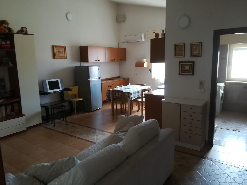 immagine annuncio 4 di 7
