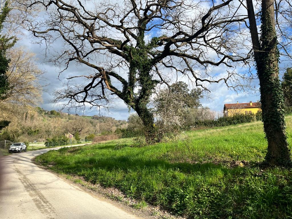 immagine annuncio 6 di 7