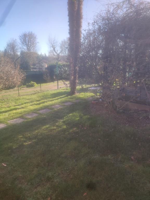 immagine annuncio 6 di 7