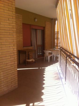 immagine annuncio 4 di 7