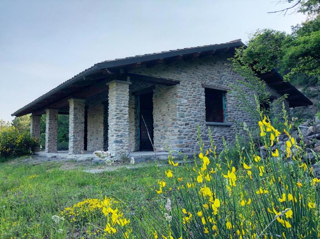 immagine annuncio 1 di 7