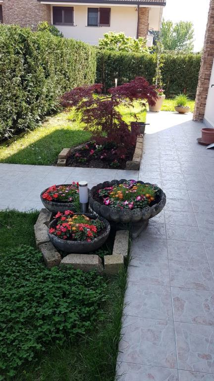 immagine annuncio 1 di 6