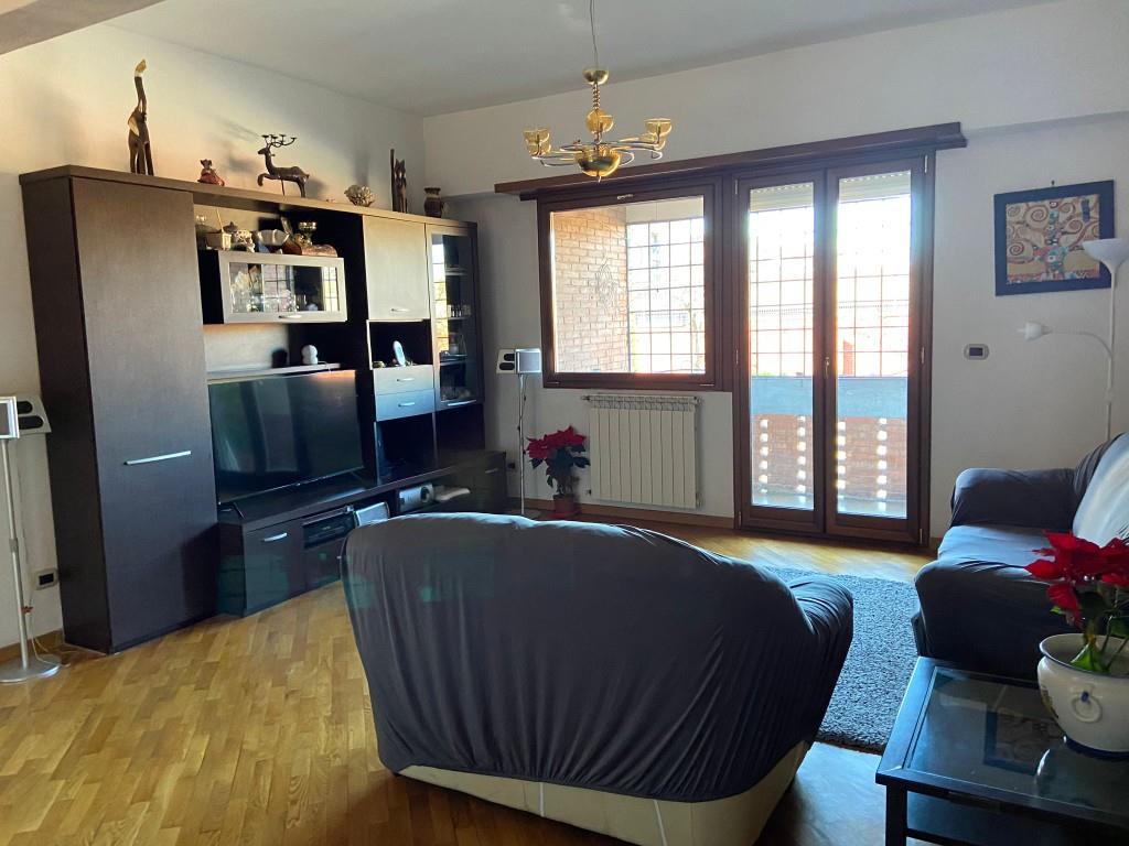 immagine annuncio 4 di 7