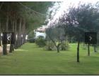 Foto - Villa in Vendita a Capalbio (Grosseto)