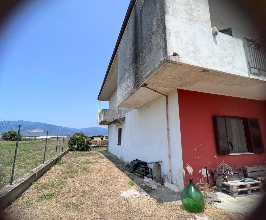 immagine annuncio 3 di 7