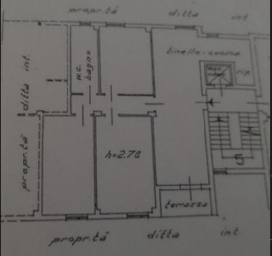 immagine annuncio 2 di 7