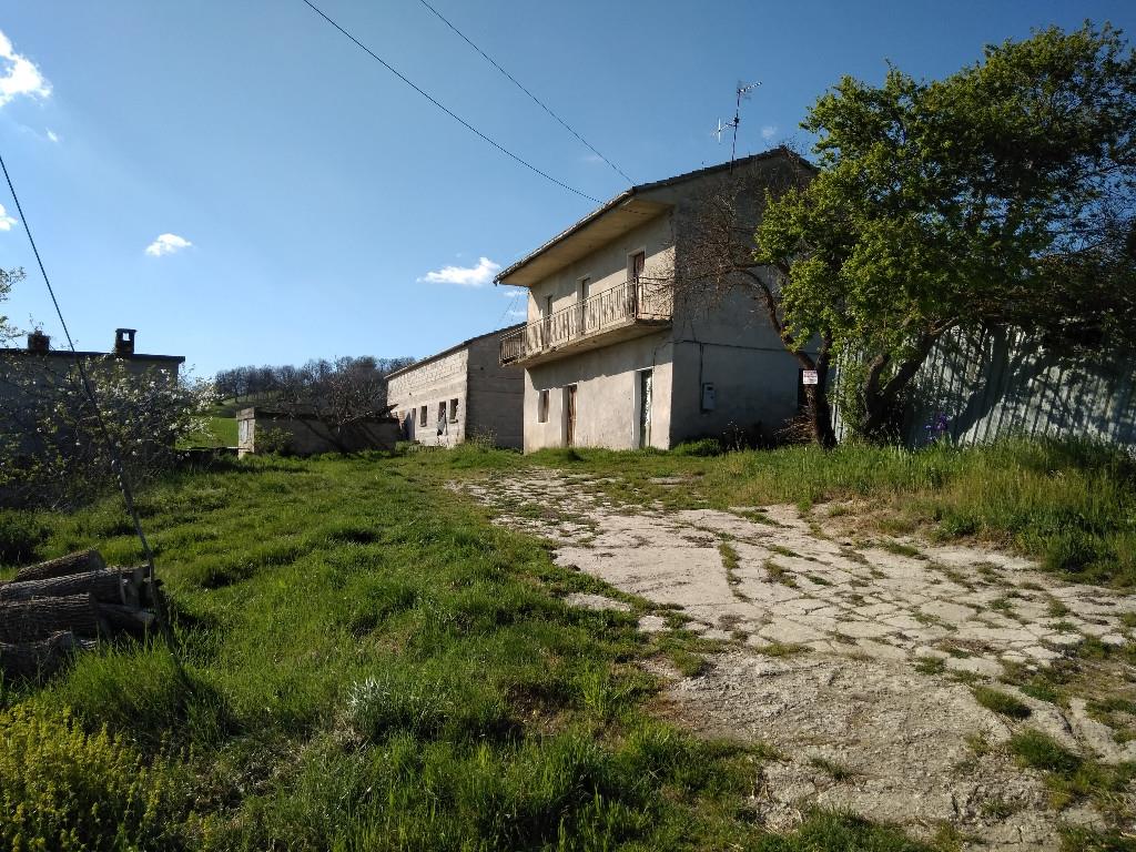 immagine annuncio 4 di 6