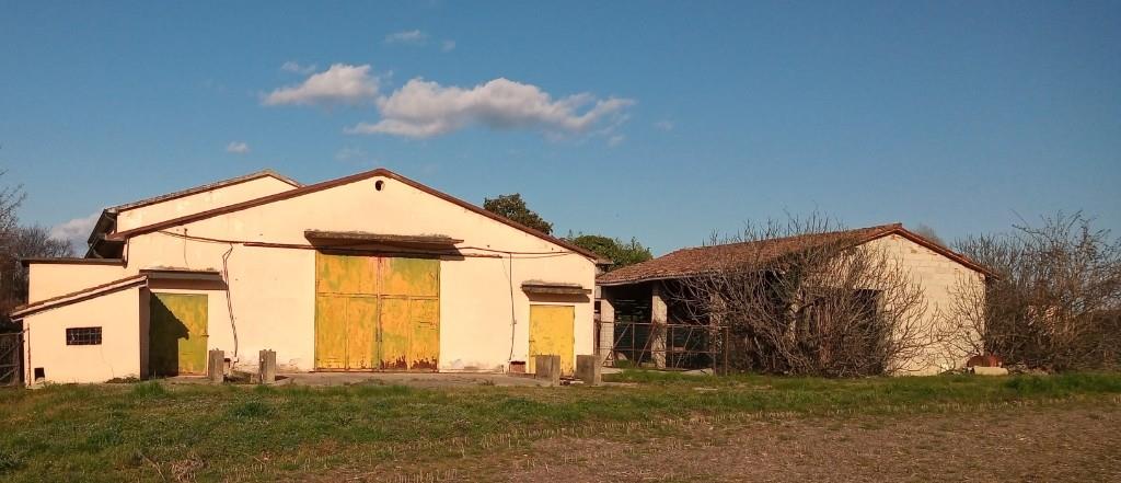 immagine annuncio 6 di 7