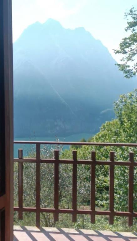 immagine annuncio 5 di 7