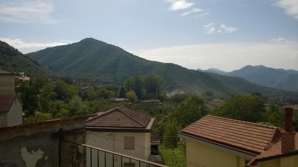 immagine annuncio 4 di 7