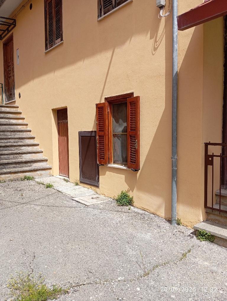 immagine annuncio 3 di 7