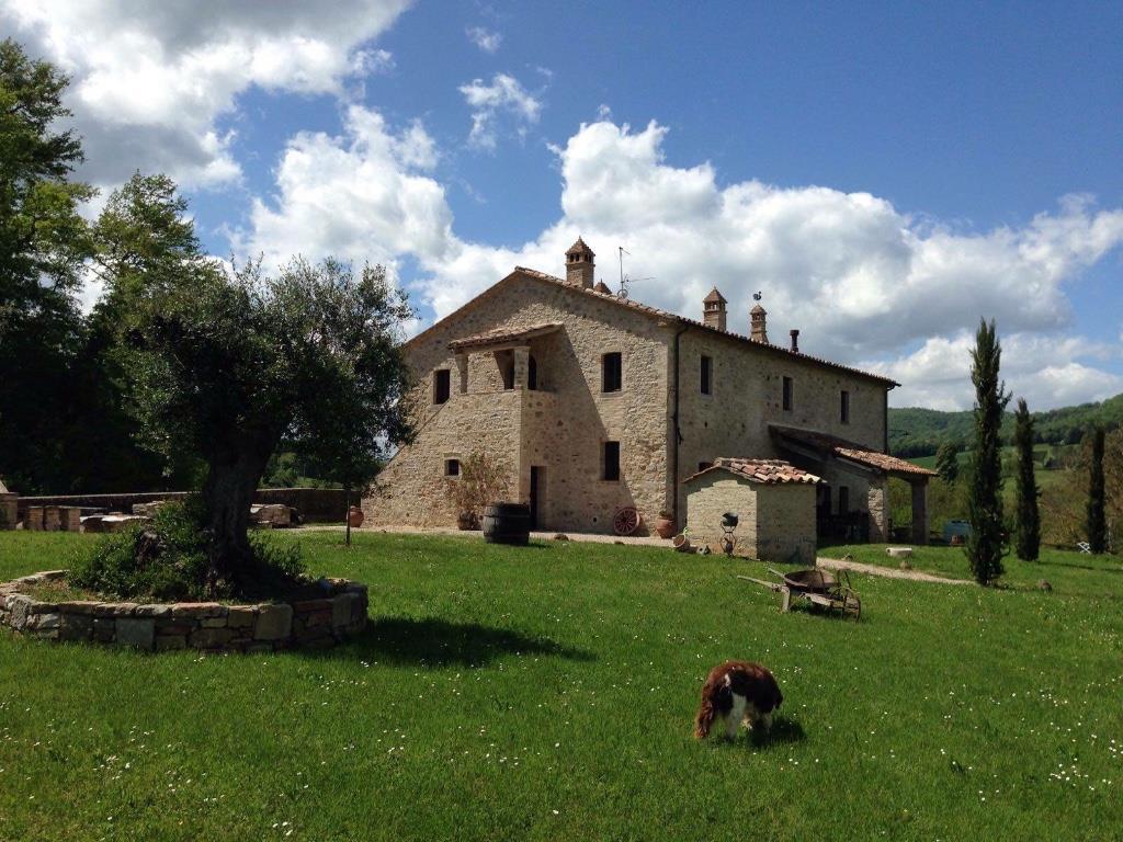 immagine annuncio 6 di 7