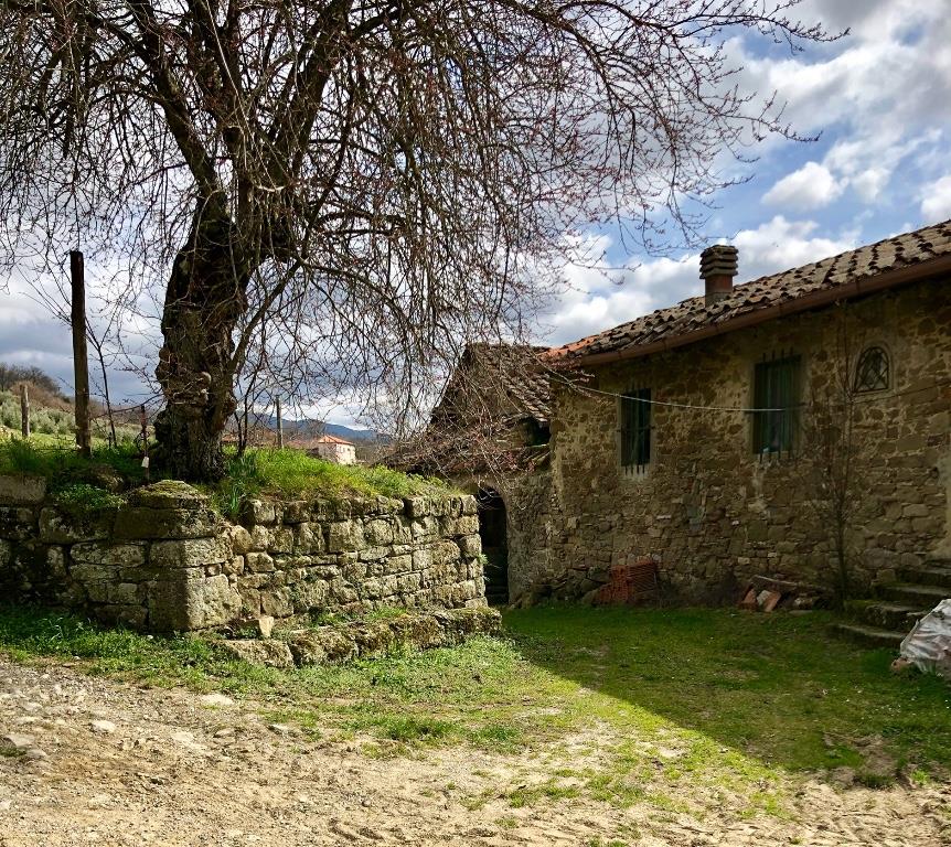 immagine annuncio 2 di 7