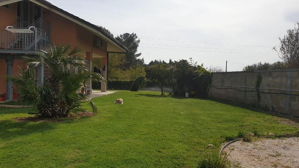 immagine annuncio 6 di 7