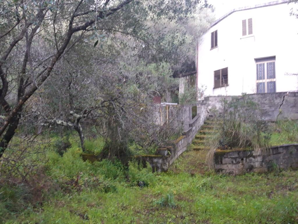 immagine annuncio 4 di 6