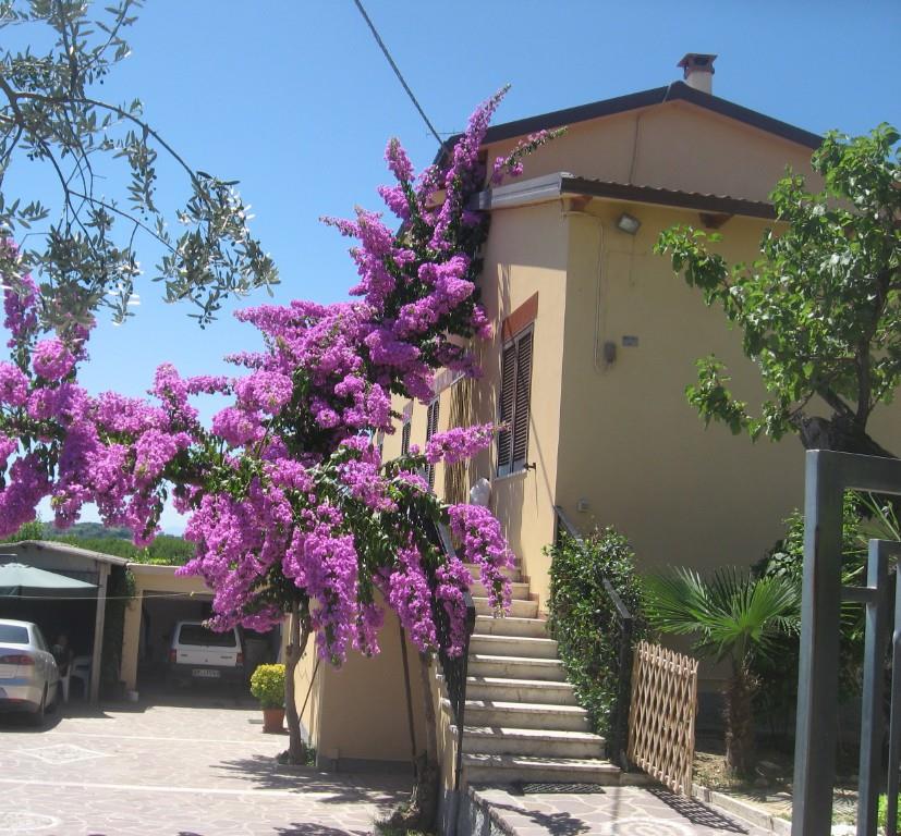 immagine annuncio 5 di 7