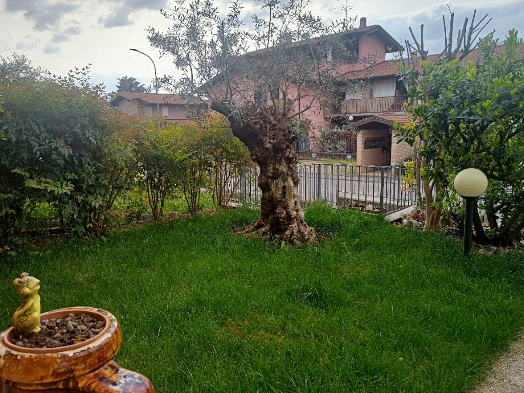 immagine annuncio 4 di 6