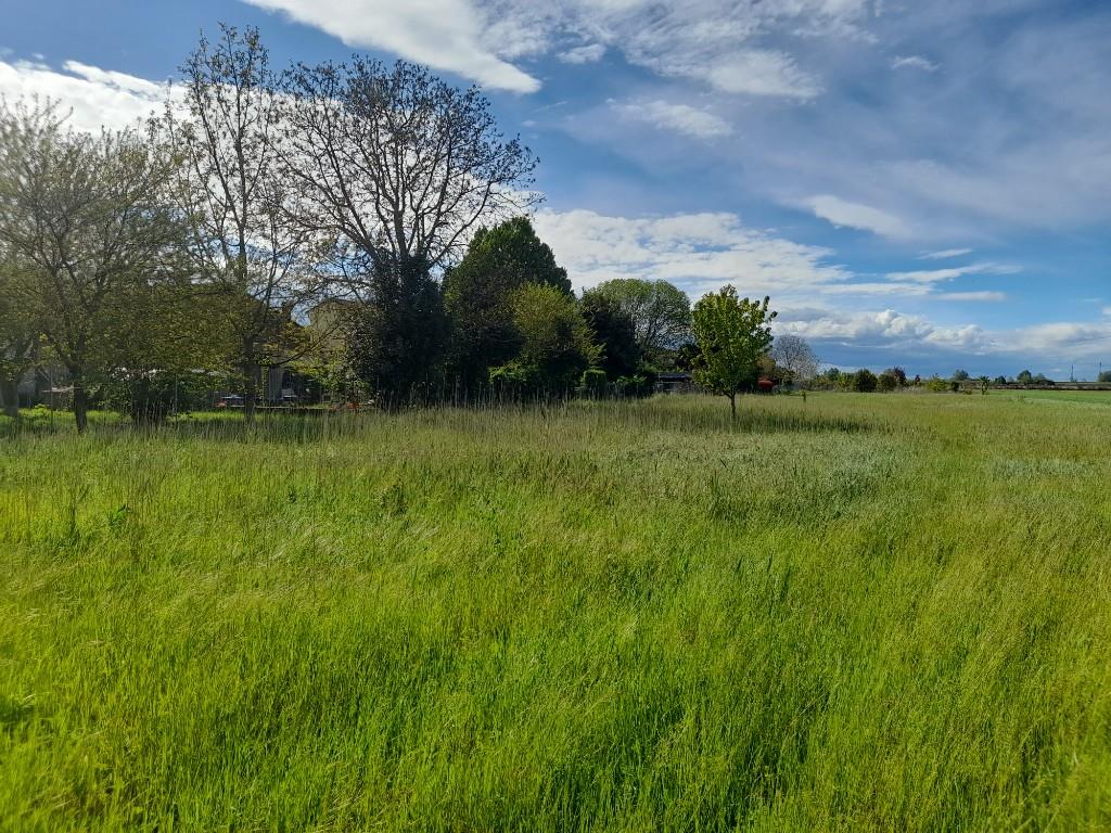 immagine annuncio 3 di 7