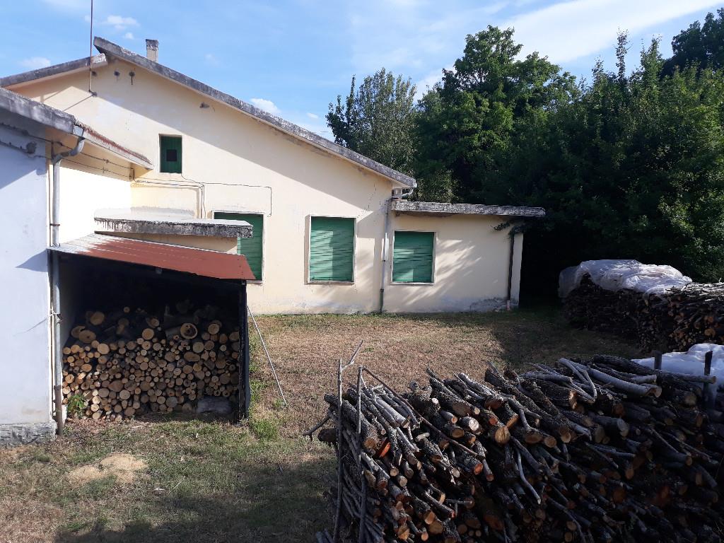 immagine annuncio 3 di 7