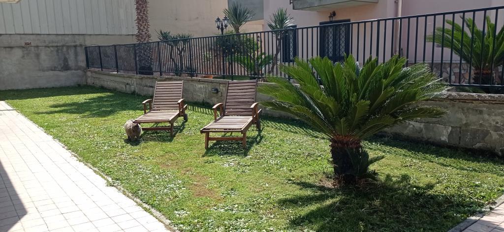 immagine annuncio 5 di 7