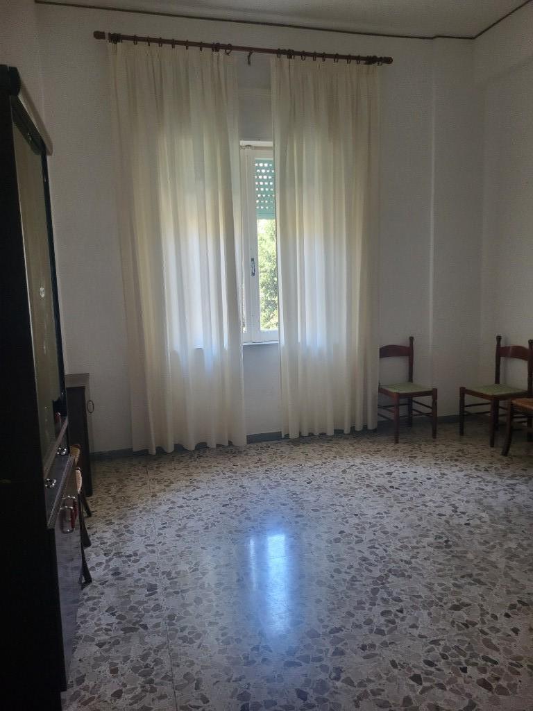 immagine annuncio 3 di 7