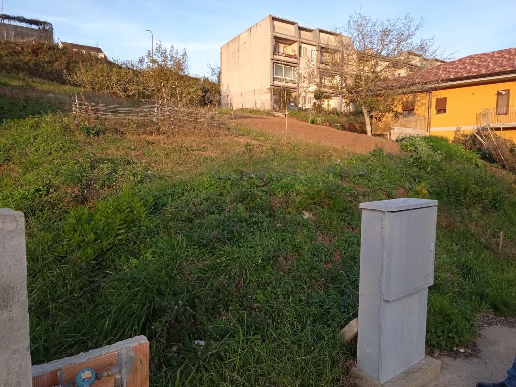 immagine annuncio 5 di 7
