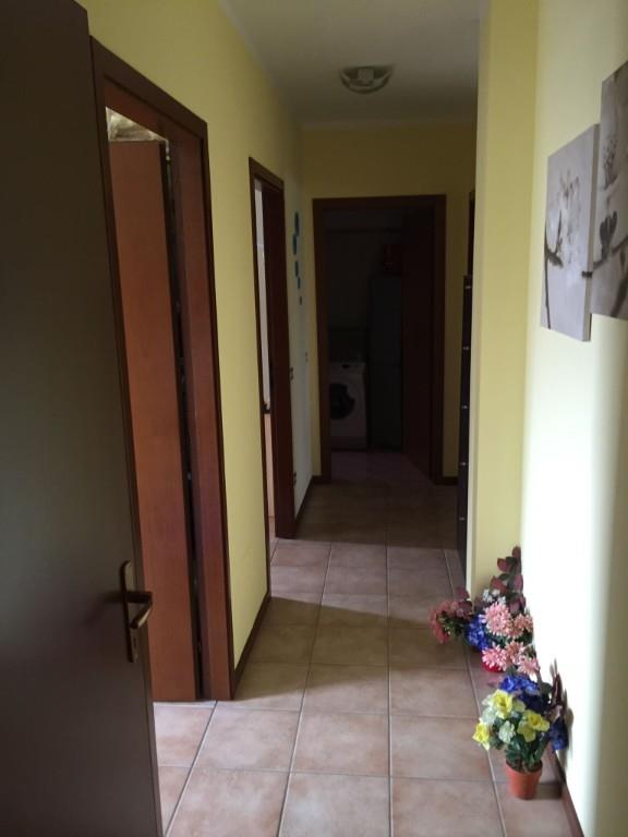 immagine annuncio 2 di 6