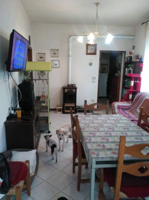 immagine annuncio 4 di 7