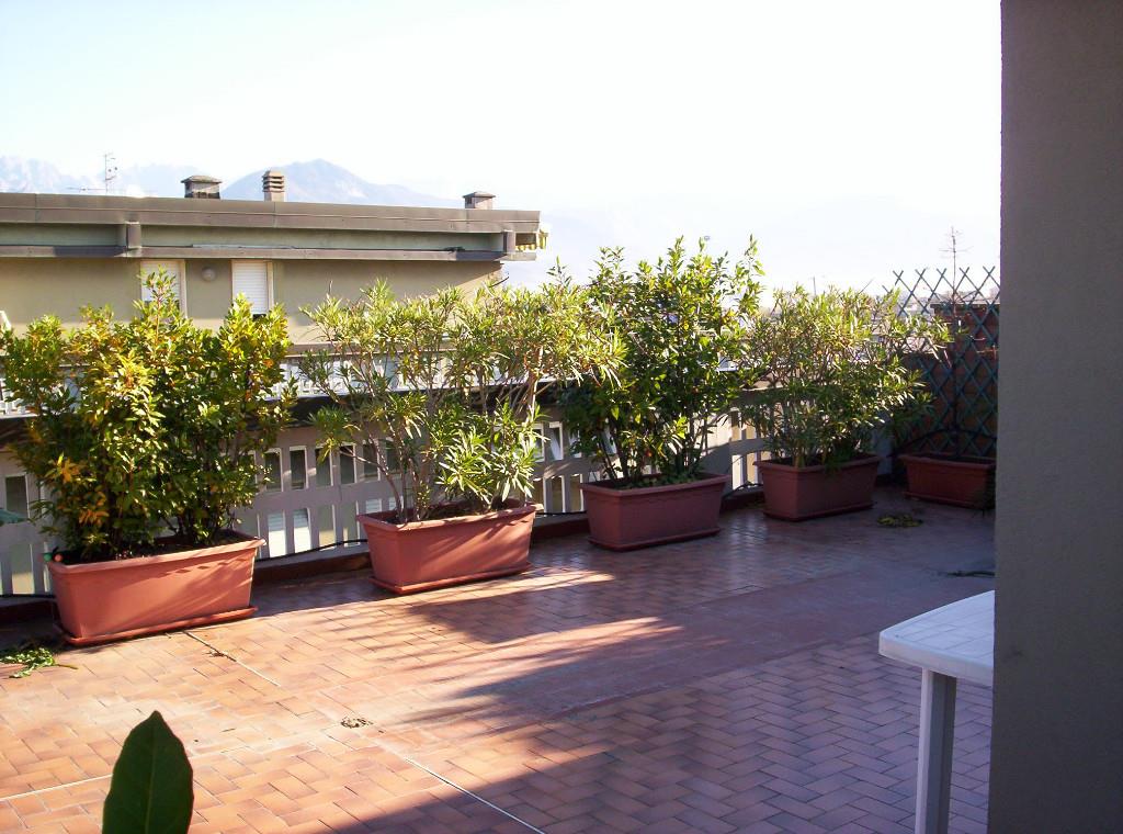 immagine annuncio 5 di 7